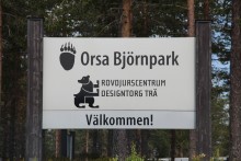 Le 15 jUIN 2016 - Grönklitt parc des Ours